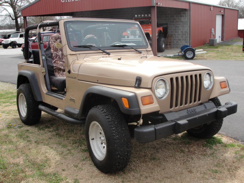 1999 Jeep SE