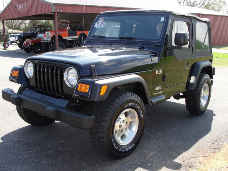 2003 Jeep WRANGLER X