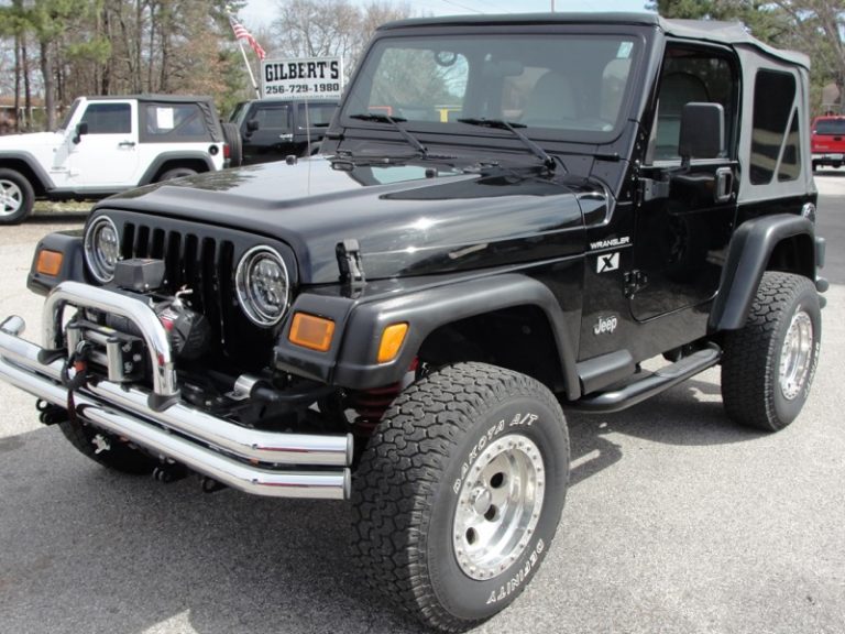 2002 Jeep WRANGLER X