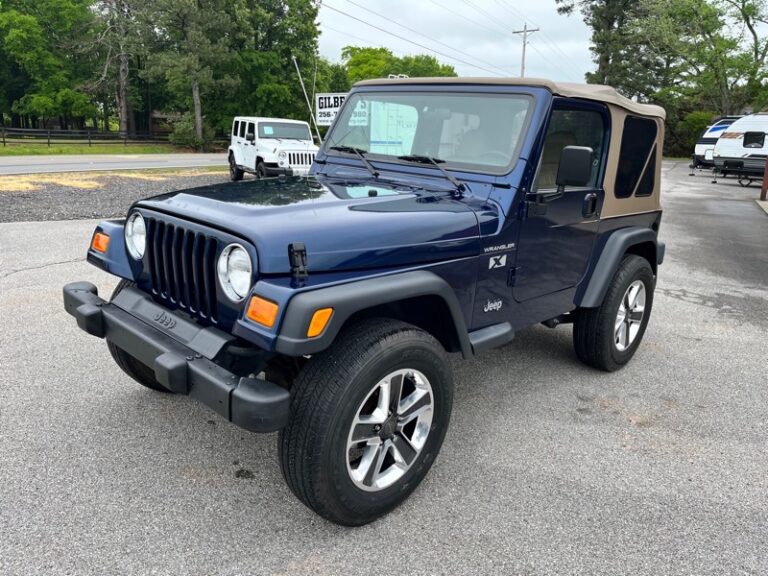 2002 Jeep WRANGLER X