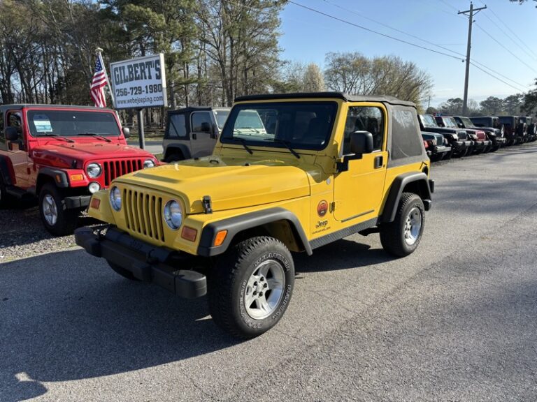 2004 Jeep WRANGLER X